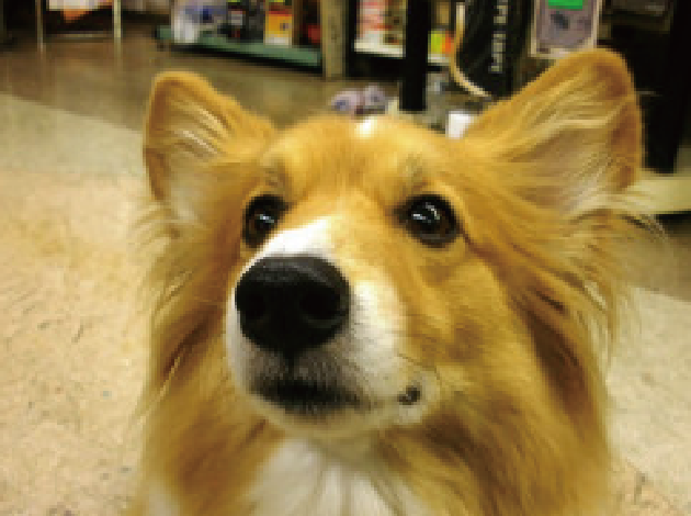 鼻デカでーす！