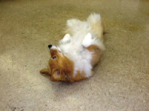 早くお客さんこないかしら！